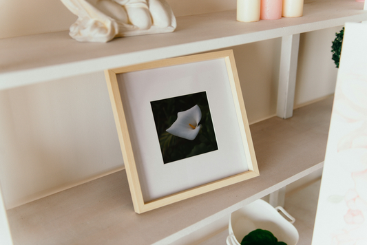 Calla Lilie - digitale Blumenfotografie aus Madeira