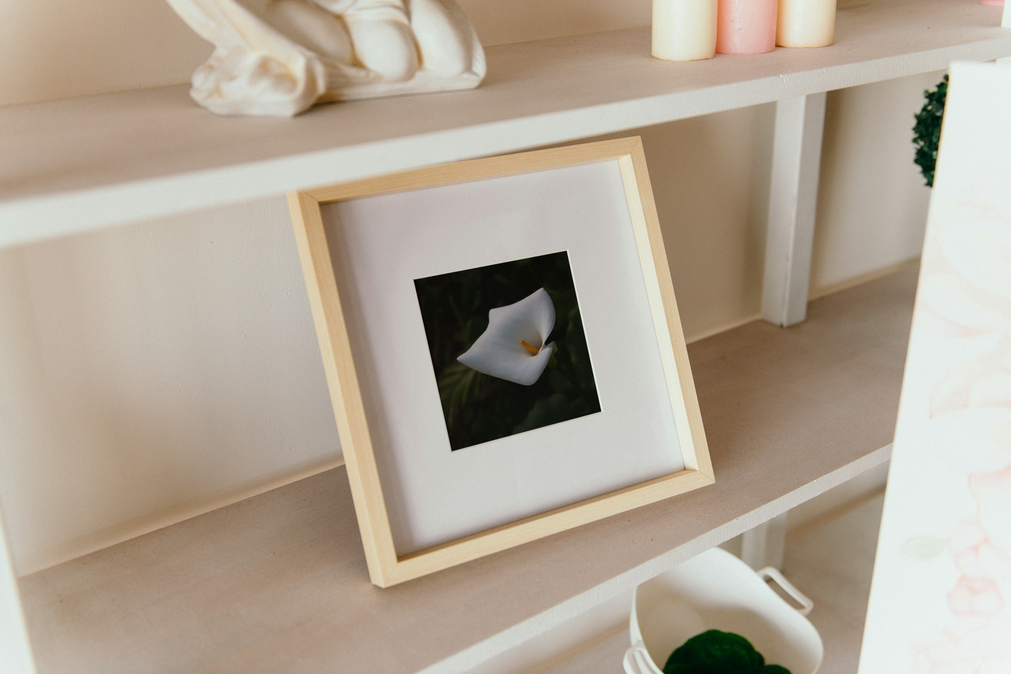 Madeira - Calla Lilie - Fotografie